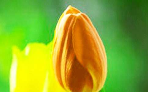 ����������������18ƪ�����A��