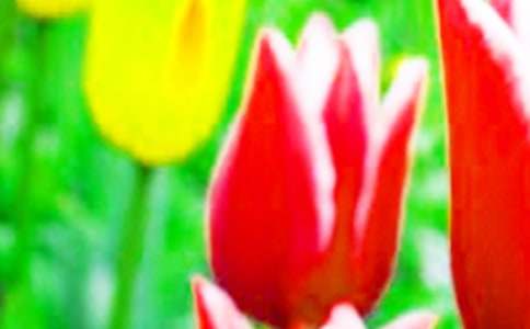 �������������400��