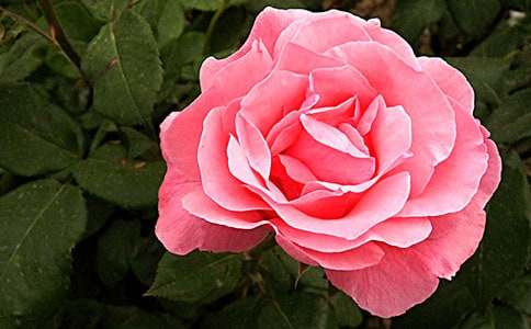 �������¼����@���ģ����x33ƪ��