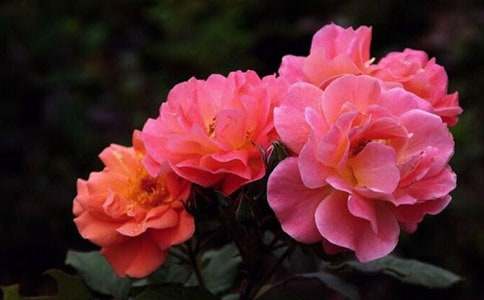 �����е��¼�����������