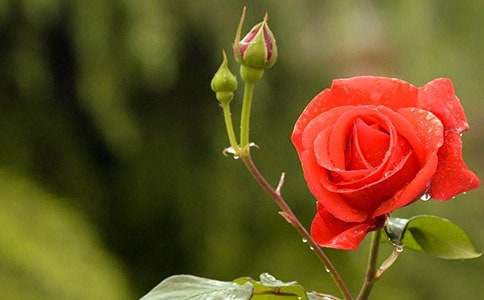 ���¼���������300��