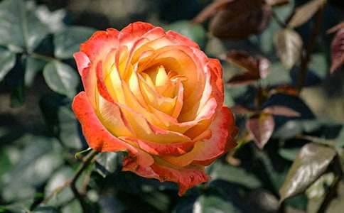 �ͽo�������¼���С�W(xu��)����