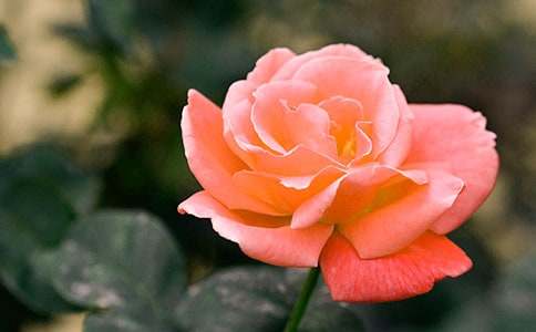 �Ґ��¼���200������