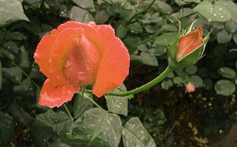 �¼���400������