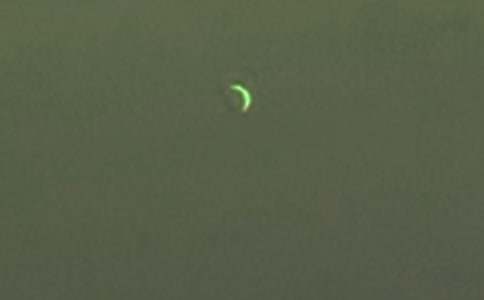 �����A���������������ąR����ƪ