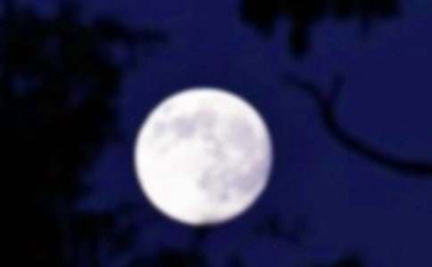 月圓人更圓作文500字(通用24篇)