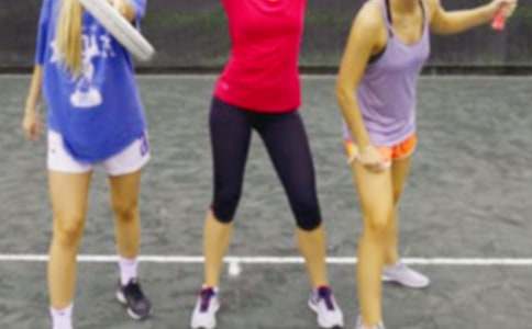 我的夢想當(dāng)滑冰運動員作文300字