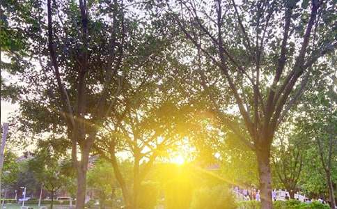 流行朋友圈早安寄語匯總(精選150句)