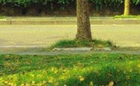 早安問候清晨寄語