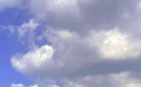 【實(shí)用】早安共勉句子語(yǔ)錄20句