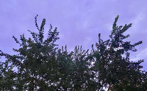 最新治愈早安寄語(yǔ)匯總(精選60句)