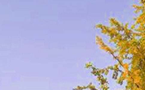 ����ů���簲���Z��ȫ�����x55�䣩