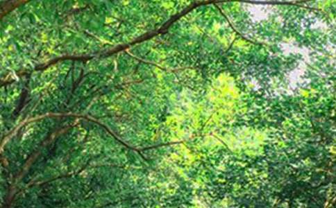 有關(guān)治愈早安寄語大全185句精選