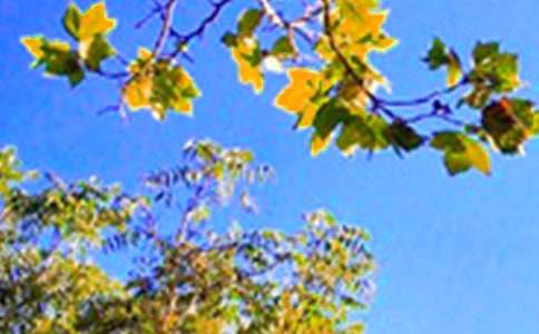 推薦朋友圈早安寄語大全(精選60句)