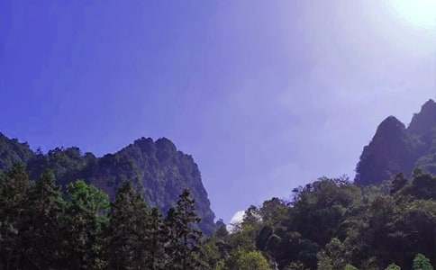 ���ҽ����Tɽ��ӛ����