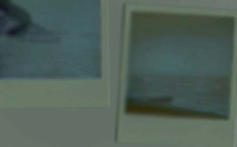 ��Ƭ������300�֣�ͨ��22ƪ��