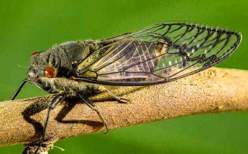 ץ֪�˵�С�W����