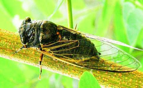 ���Ԟ��ǵ�֪�˸Č�����