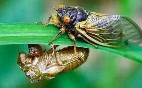 ҹ��׽֪�ˌW(xu��)�����ģ�ͨ��21ƪ��