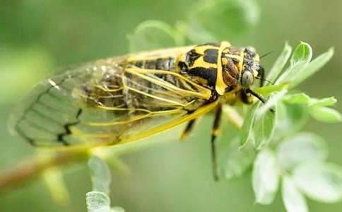 ֪�˵�����600�֣����x15ƪ��