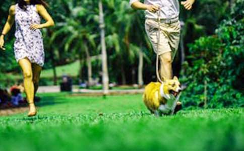 周末敘述趣事的初中隨筆