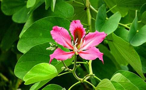 ���G������500�֣�ͨ��42ƪ��