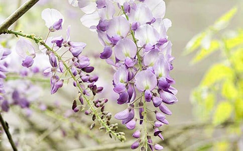 ���ٻ�����400��