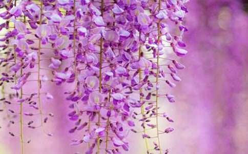 �����ٻ�������600��