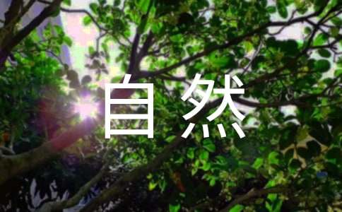 ���M(j��n)����ȻС�W(xu��)����8ƪ