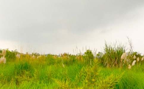 走進和諧的春天作文(匯編10篇)