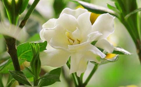 �����ėd�ӻ�350������