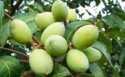 ��Ҳ��^(gu��)һö���ϙ�����1000��