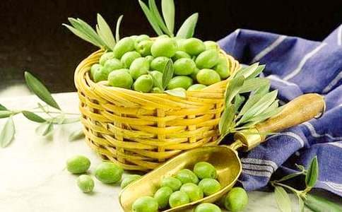 《留戀青橄欖》讀后感