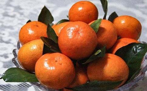 橘子洲的四季作文