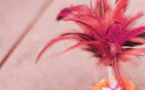 ����ӌ�ʩ������ͨ��6ƪ��