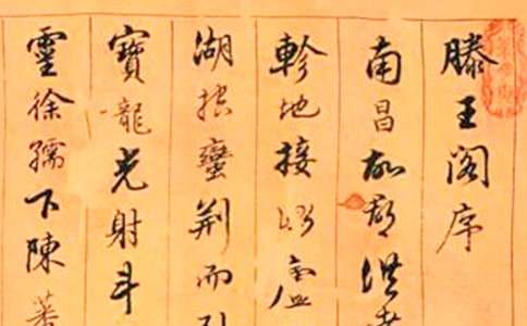 �����������w���g