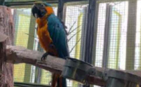 ���x�W�^�~(y��)����10ƪ