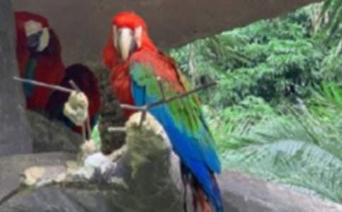 �W�^�~����3ƪ