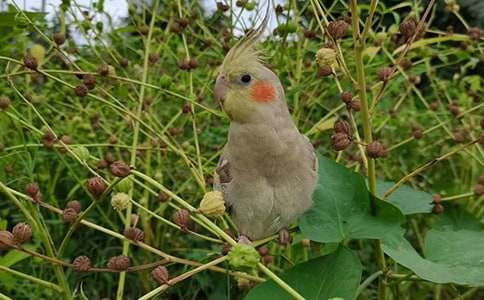 �茑�W�^��С�W(xu��)����