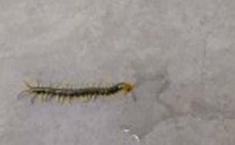 �i���������i�Z