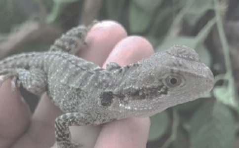 С�W�����������c���x�Č�Ԓ