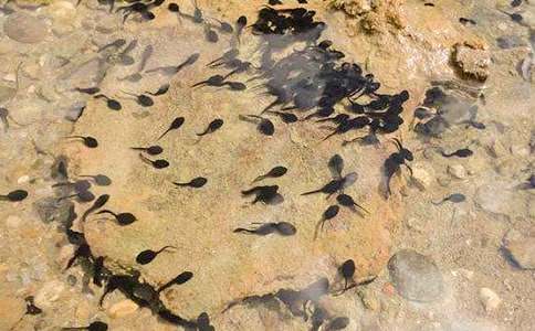 �^��С�������-�^������