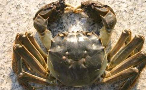 ׽�з����800��3ƪ