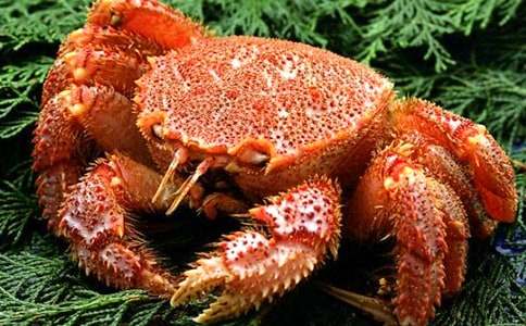 С�W(xu��)�з����