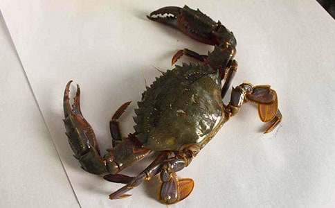 ��B�з������800�֣����x5ƪ��