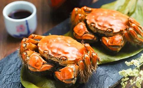 捉螃蟹作文范文800字