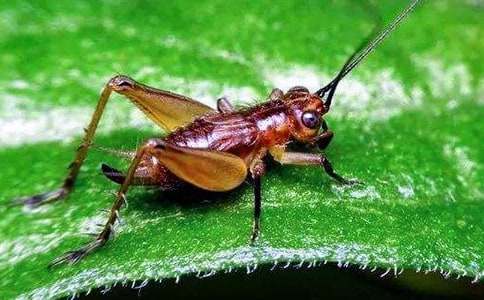 ȤζͯԒ�������]��С�}����������