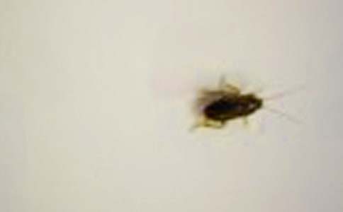 �����x���������300��3ƪ