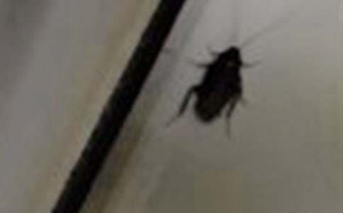 �������B��(qi��ng)��������ķ���