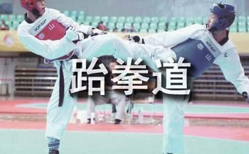 學(xué)習(xí)跆拳道550字作文